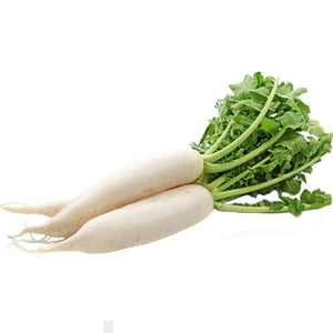 RZODKIEW BIAŁA 1 kg