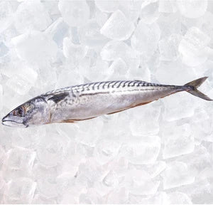 LAGUNA Makrela patroszona rozmrożona 1 kg